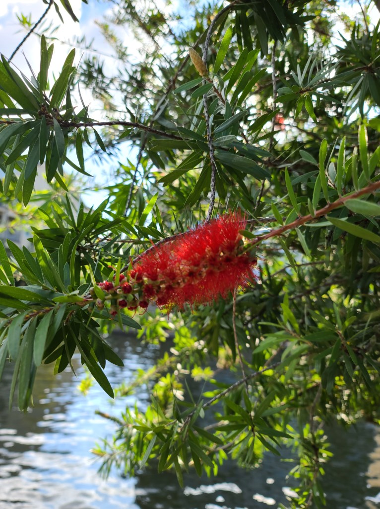 Showing Gratitude and Being&nbsp;Intentional