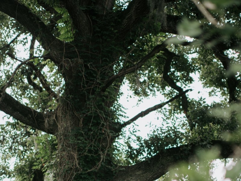 Taking an Emotional Time&nbsp;Out