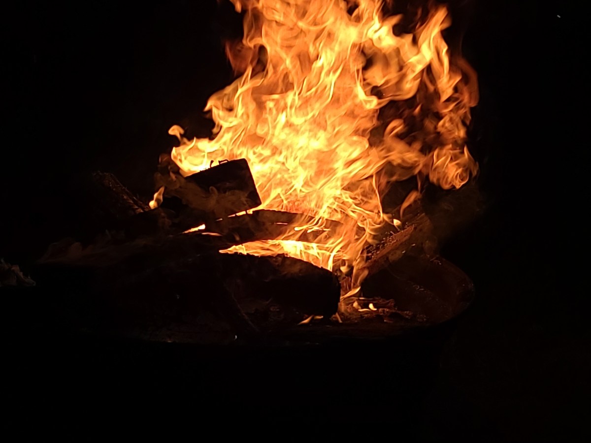 Insight into Vaurina’s Childhood&nbsp;Trauma